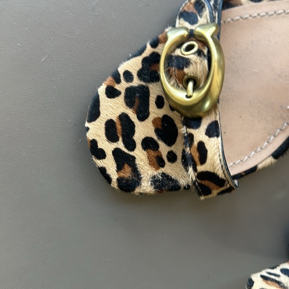Coach leopard Sandal - Picture 6 of 6
